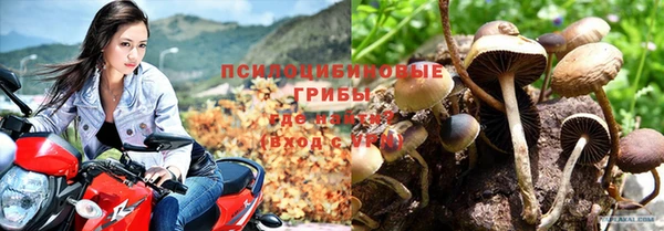 шишки Алексеевка