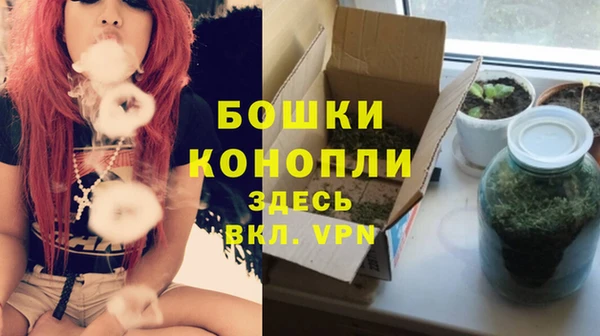 PSILOCYBIN Алзамай