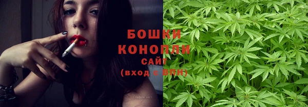 PSILOCYBIN Алзамай