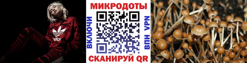 Псилоцибиновые грибы мухоморы  Боготол 