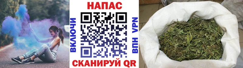 кракен маркетплейс  Боготол  Шишки марихуана сатива 